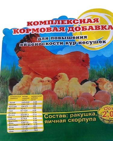 Скорлупа 1
