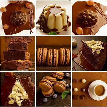 Клеёнка на неткан.основе PALOMA-8 (1,37*20м) PL-014